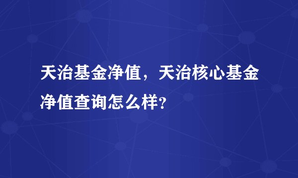 天治基金净值，天治核心基金净值查询怎么样？