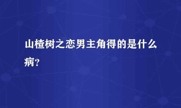 山楂树之恋男主角得的是什么病？