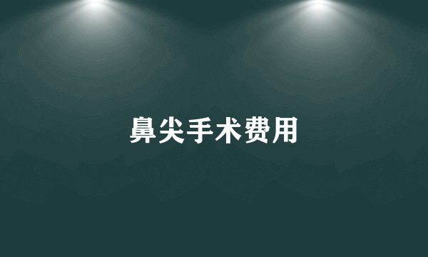 鼻尖手术费用