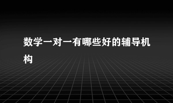数学一对一有哪些好的辅导机构
