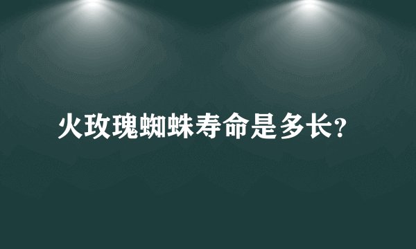 火玫瑰蜘蛛寿命是多长？