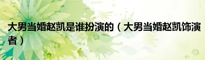 大男当婚赵凯是谁扮演的（大男当婚赵凯饰演者）