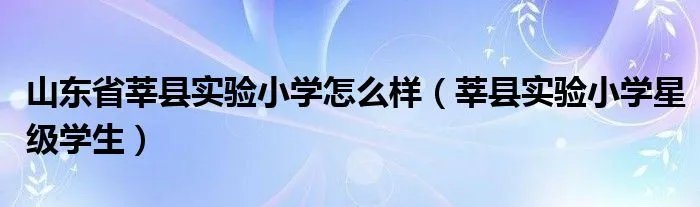 山东省莘县实验小学怎么样(莘县实验小学星级学生)