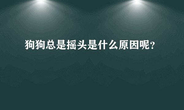 狗狗总是摇头是什么原因呢?