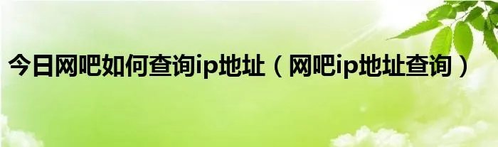 今日网吧如何查询ip地址（网吧ip地址查询）