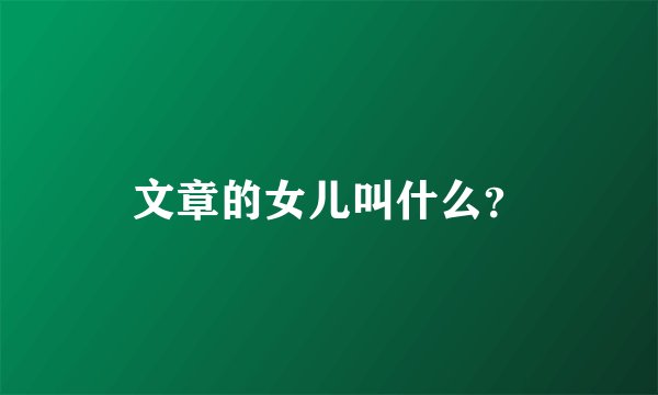 文章的女儿叫什么？