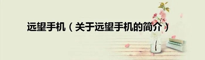 远望手机（关于远望手机的简介）