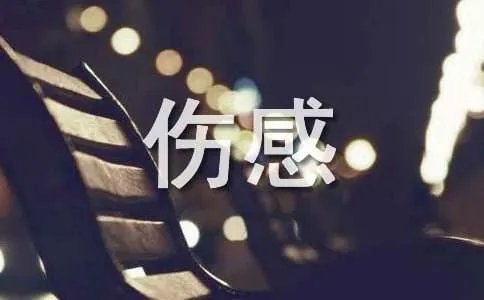 网络伤感文章欣赏:当我失去你的时候