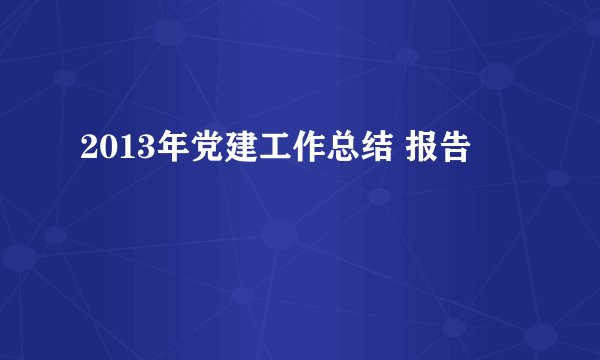 2013年党建工作总结 报告