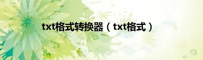 txt格式转换器(txt格式)