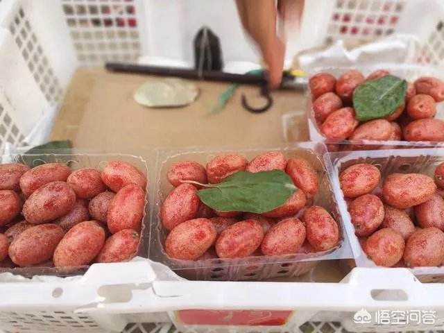 贵州平坝万亩樱花绽放,美爆了这个春天,有去过的吗?有旅游攻略路线吗?