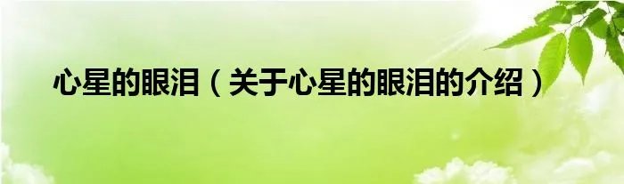 心星的眼泪（关于心星的眼泪的介绍）