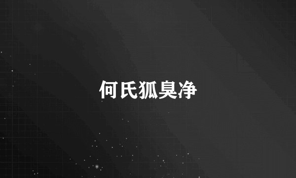 何氏狐臭净