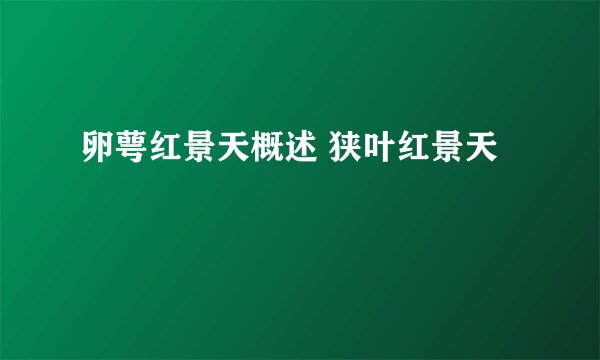 卵萼红景天概述 狭叶红景天