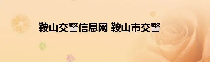 鞍山交警信息网 鞍山市交警
