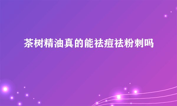 茶树精油真的能祛痘祛粉刺吗