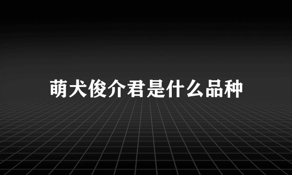 萌犬俊介君是什么品种