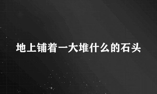 地上铺着一大堆什么的石头