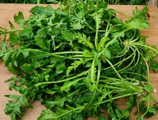 蔬菜饺子馅的调制方法?