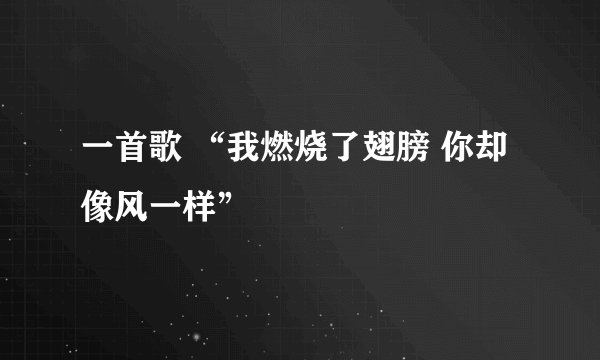 一首歌 “我燃烧了翅膀 你却像风一样”
