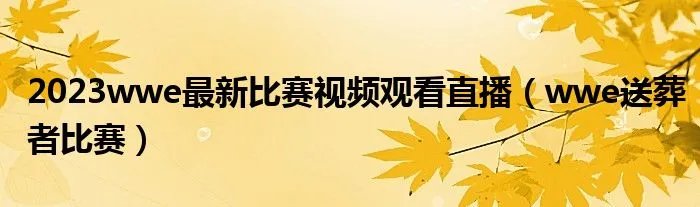 2023wwe最新比赛视频观看直播(wwe送葬者比赛)