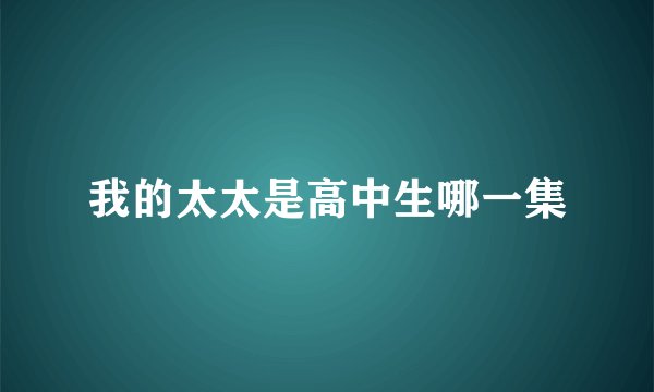 我的太太是高中生哪一集