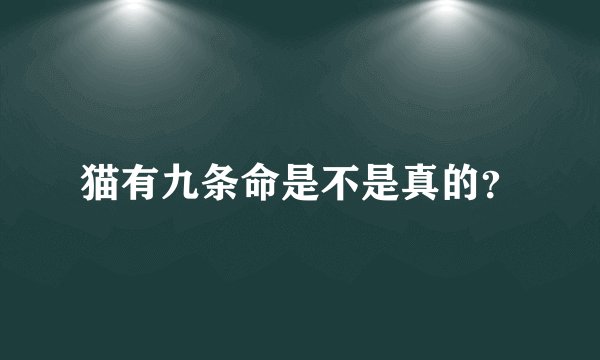 猫有九条命是不是真的?