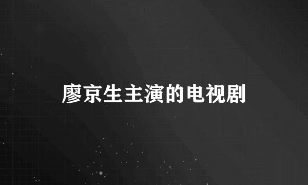 廖京生主演的电视剧