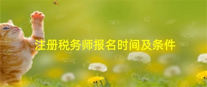 注册税务师报名时间及条件