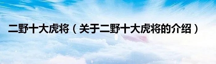 二野十大虎将（关于二野十大虎将的介绍）