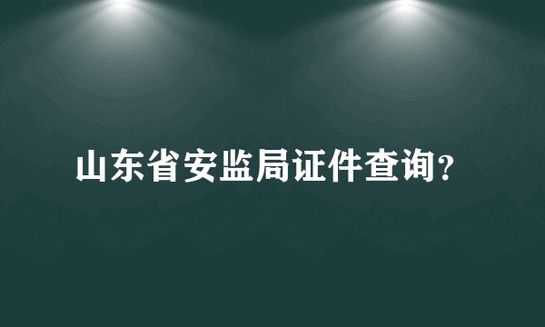 山东省安监局证件查询？