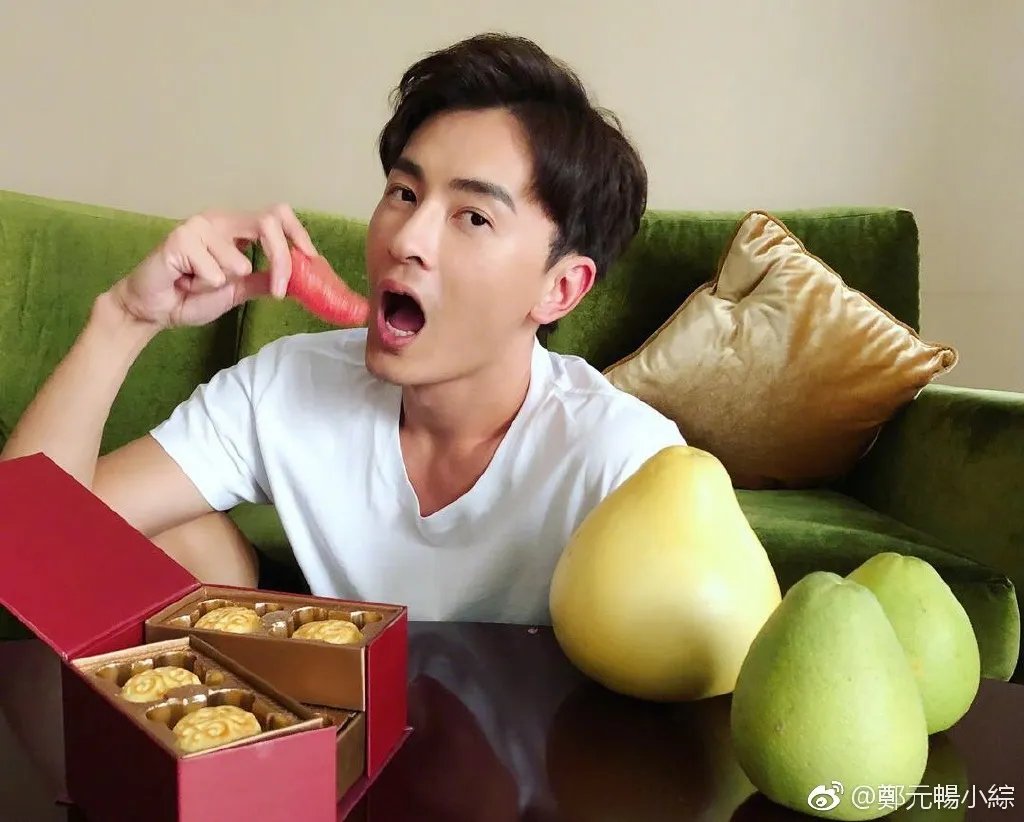郑元畅日记是真的吗 郑元畅是弯的出柜了
