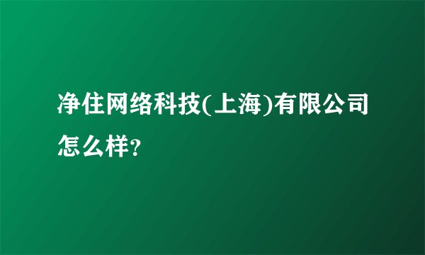 净住网络科技(上海)有限公司怎么样?