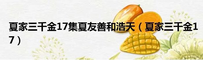 夏家三千金17集夏友善和浩天（夏家三千金17）