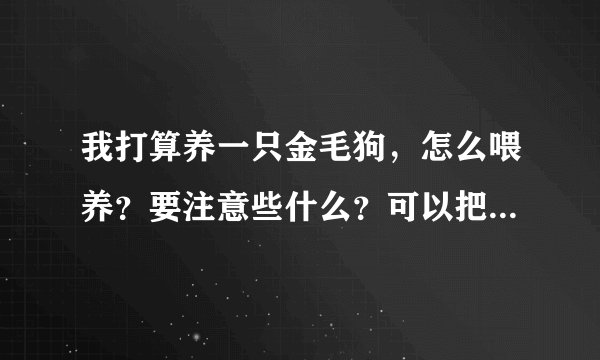我打算养一只金毛狗,怎么喂养?要注意些什么?可以把它放到车库里吗?