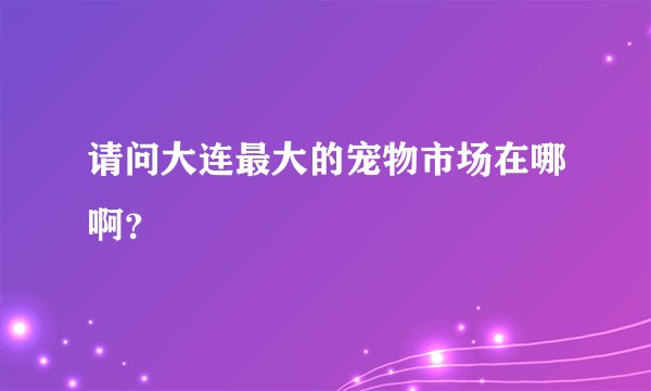 请问大连最大的宠物市场在哪啊？