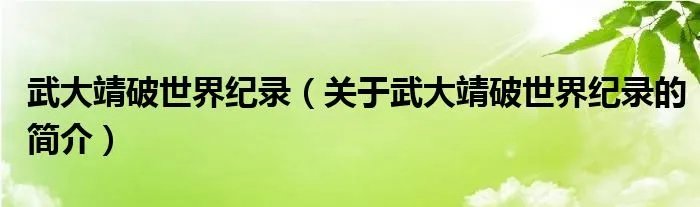 武大靖破世界纪录（关于武大靖破世界纪录的简介）