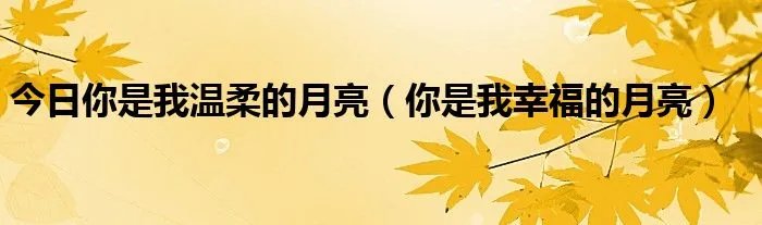 今日你是我温柔的月亮（你是我幸福的月亮）