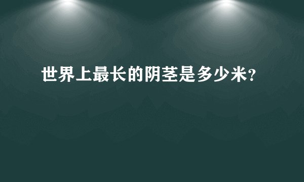 世界上最长的阴茎是多少米？