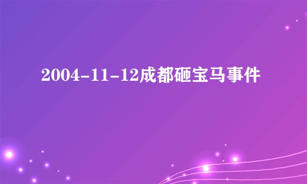 2004-11-12成都砸宝马事件