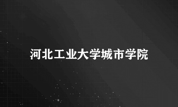 河北工业大学城市学院