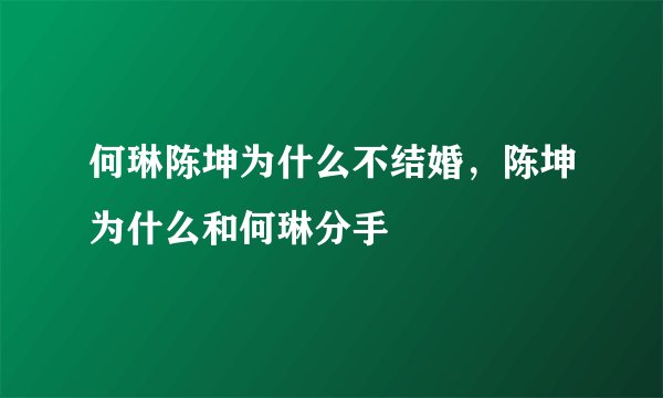 何琳陈坤为什么不结婚，陈坤为什么和何琳分手