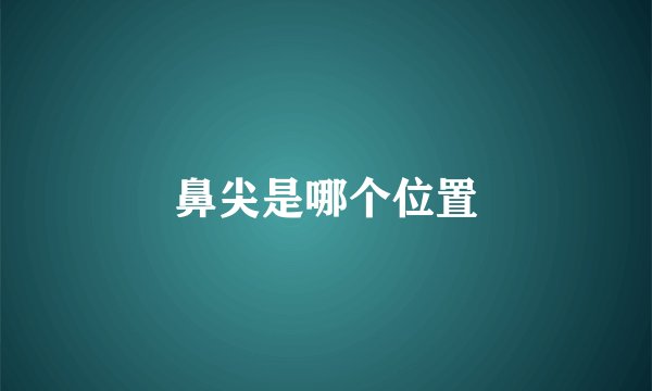 鼻尖是哪个位置