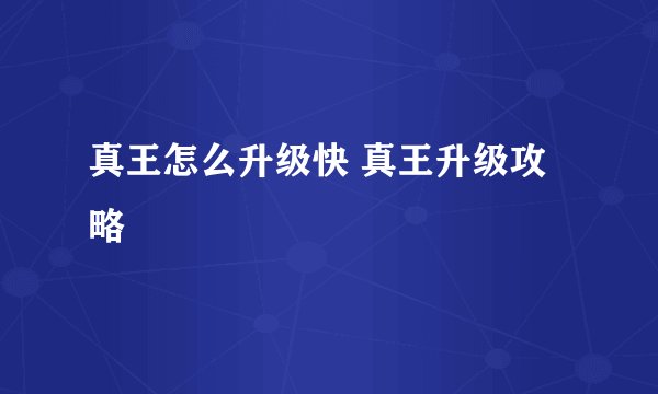真王怎么升级快 真王升级攻略