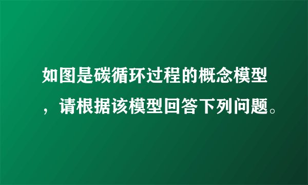 如图是碳循环过程的概念模型,请根据该模型回答下列问题。