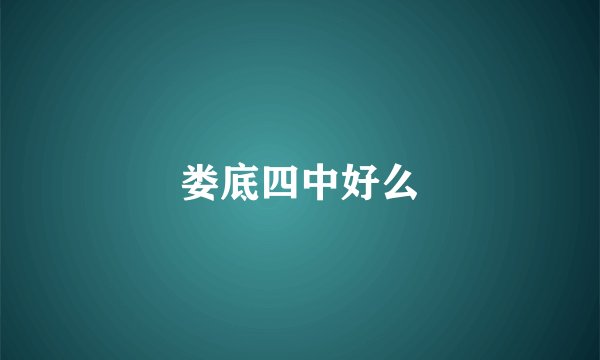 娄底四中好么