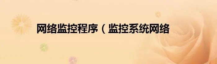 网络监控程序（监控系统网络