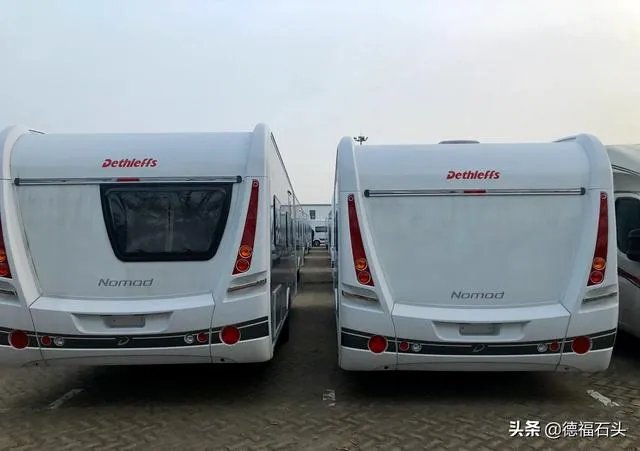 房车旅行可以带猫吗?为什么?