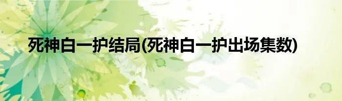 死神白一护结局(死神白一护出场集数)