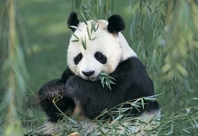 游客违规穿越哪个景区被困?